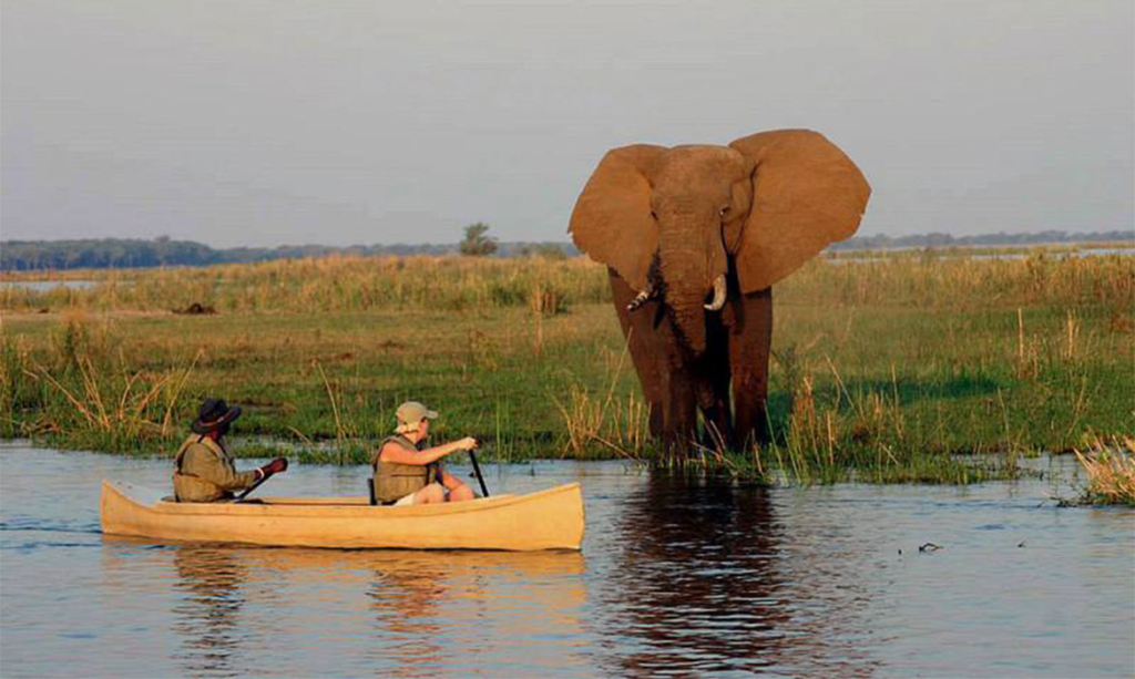 Best_of_Zambia