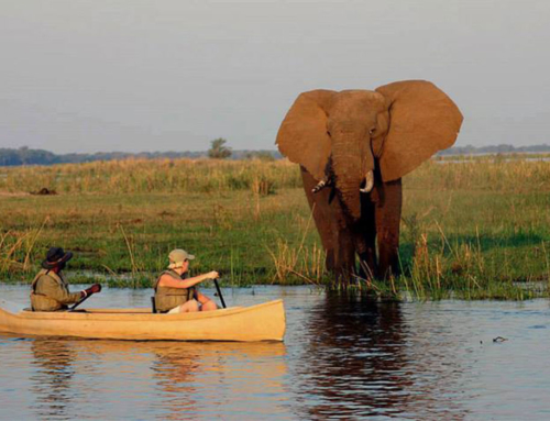 Mobile Safari: “Complete Lower Zambezi” – 8 days – lodging only