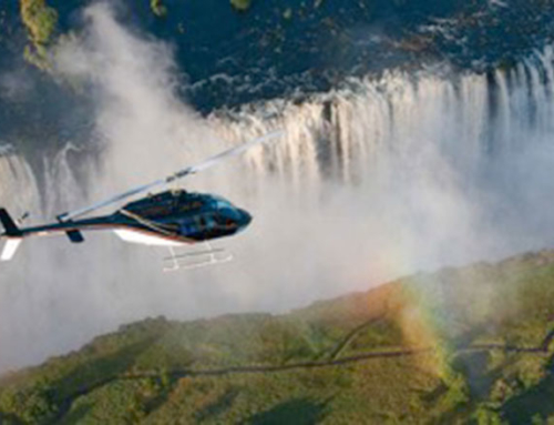 Mobile Safari: “Best of Zambia” – 14 days – mixed camping & lodging