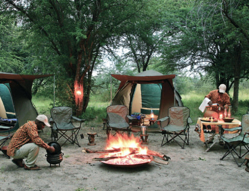 Mobile Safari: “Wild Bush” – 8 days – camping only