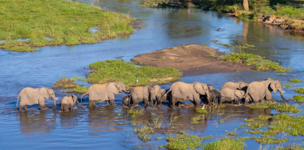 Lower Zambezi NP1