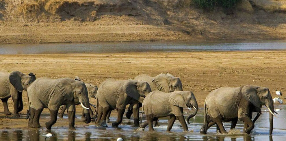 South Luangwa NP